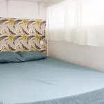 Cozy - Center Of *